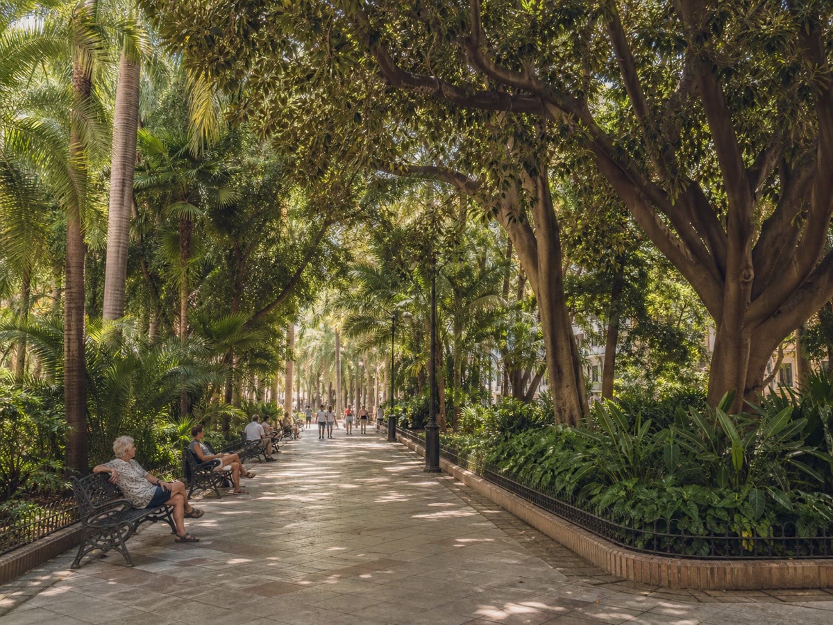 Schattige Palmen und Bänke im Parque de Málaga
