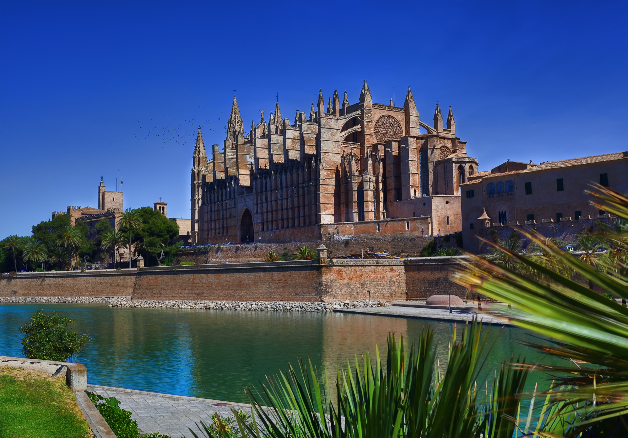 Kathedrale La Seu vom Parc de la Mar mit Spiegelung im Wasser
